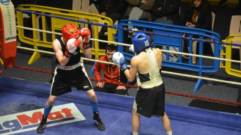 join the normandy french boxing championship in seine-maritime for an exciting showcase of skill and strength. experience top boxing talent competing in this prestigious regional event.